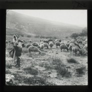 Böhl glass slide 60./1428